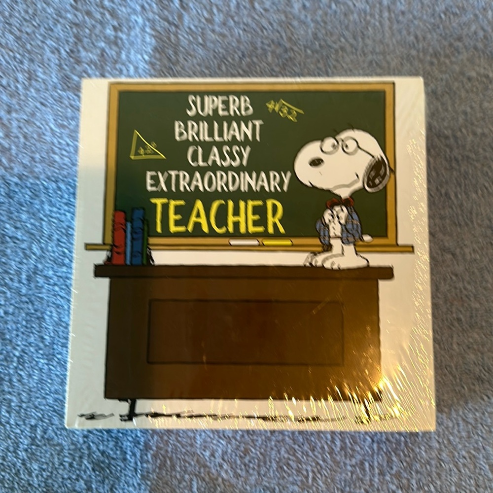 Peanuts teacher wall hanging.